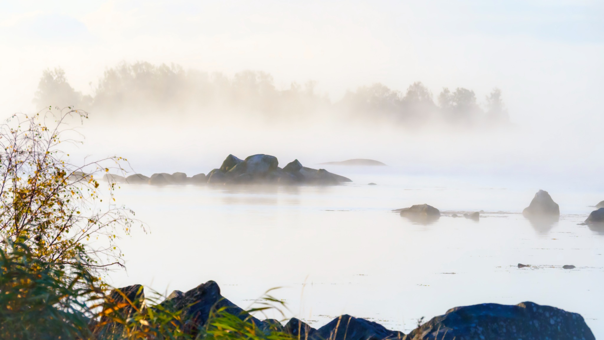 Stenar och strandvegetation vid dimhöljt vatten